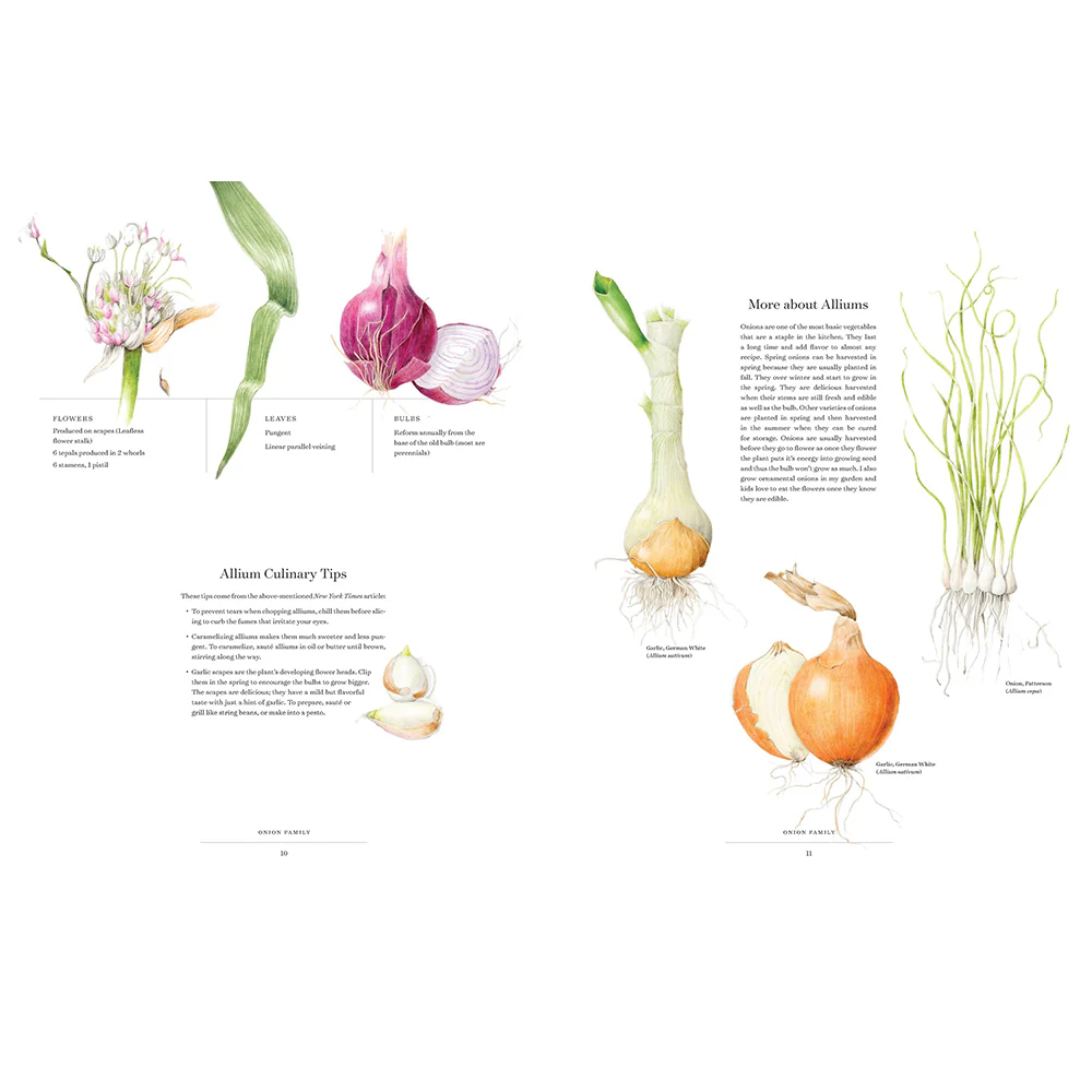 The Album of Plant Families: An Illustrated Exploration of Nature's Beauty and Bounty - Image 3