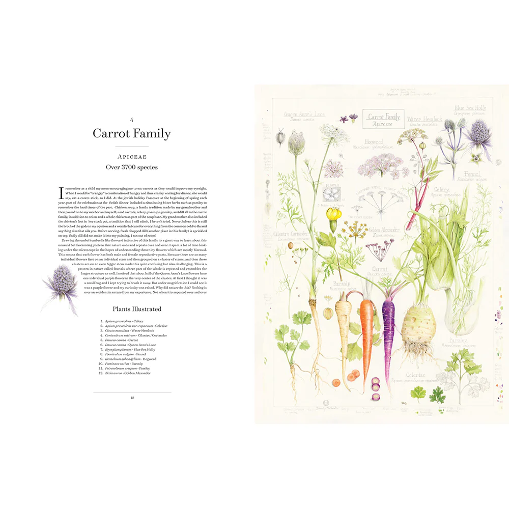 The Album of Plant Families: An Illustrated Exploration of Nature's Beauty and Bounty - Image 4
