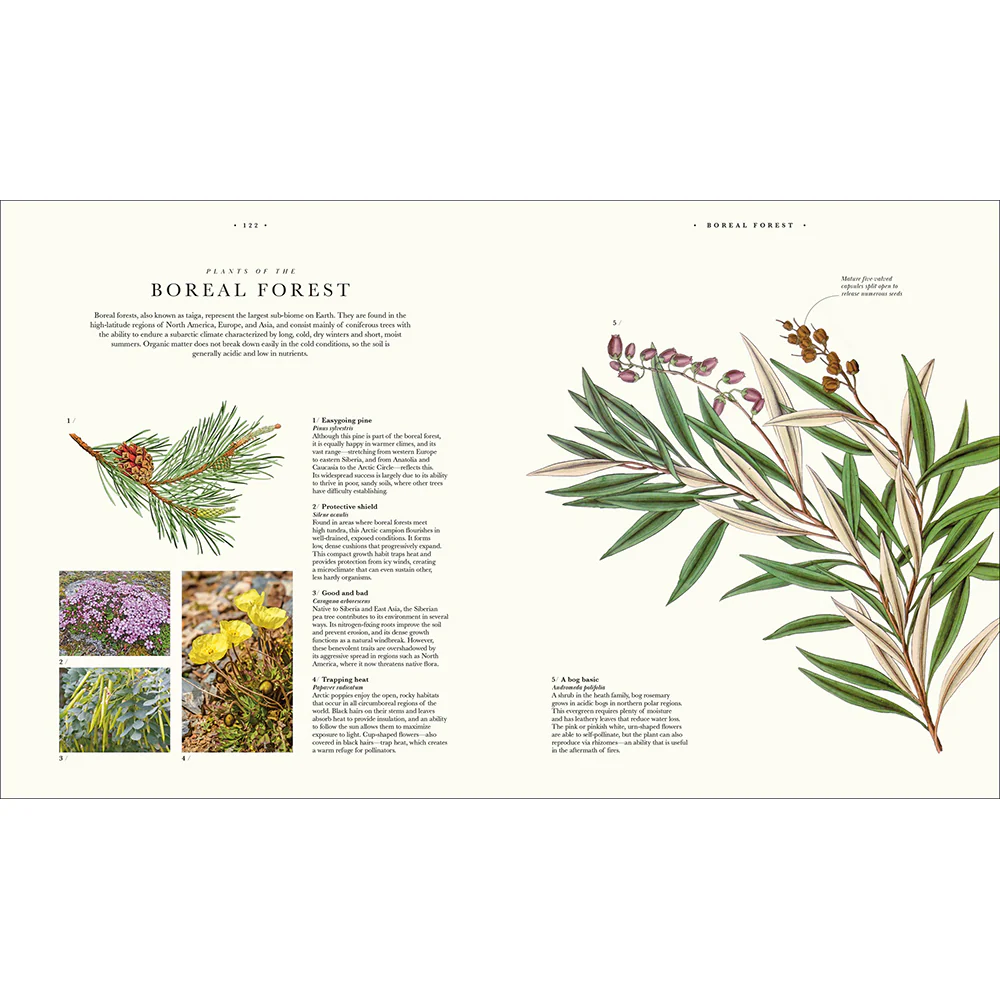 Atlas of Botany: An Exploration of Plants Across Time and Around the World - Image 4
