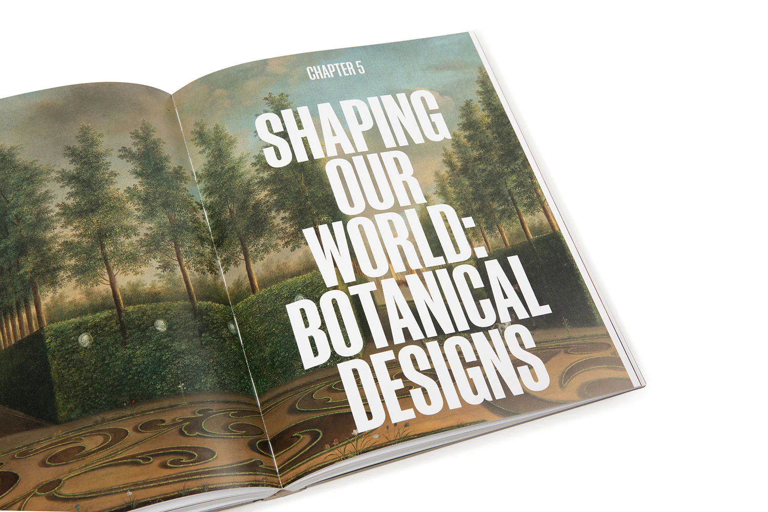 Botanical Revolutions: How Plants Changed the Course of Art - Image 14