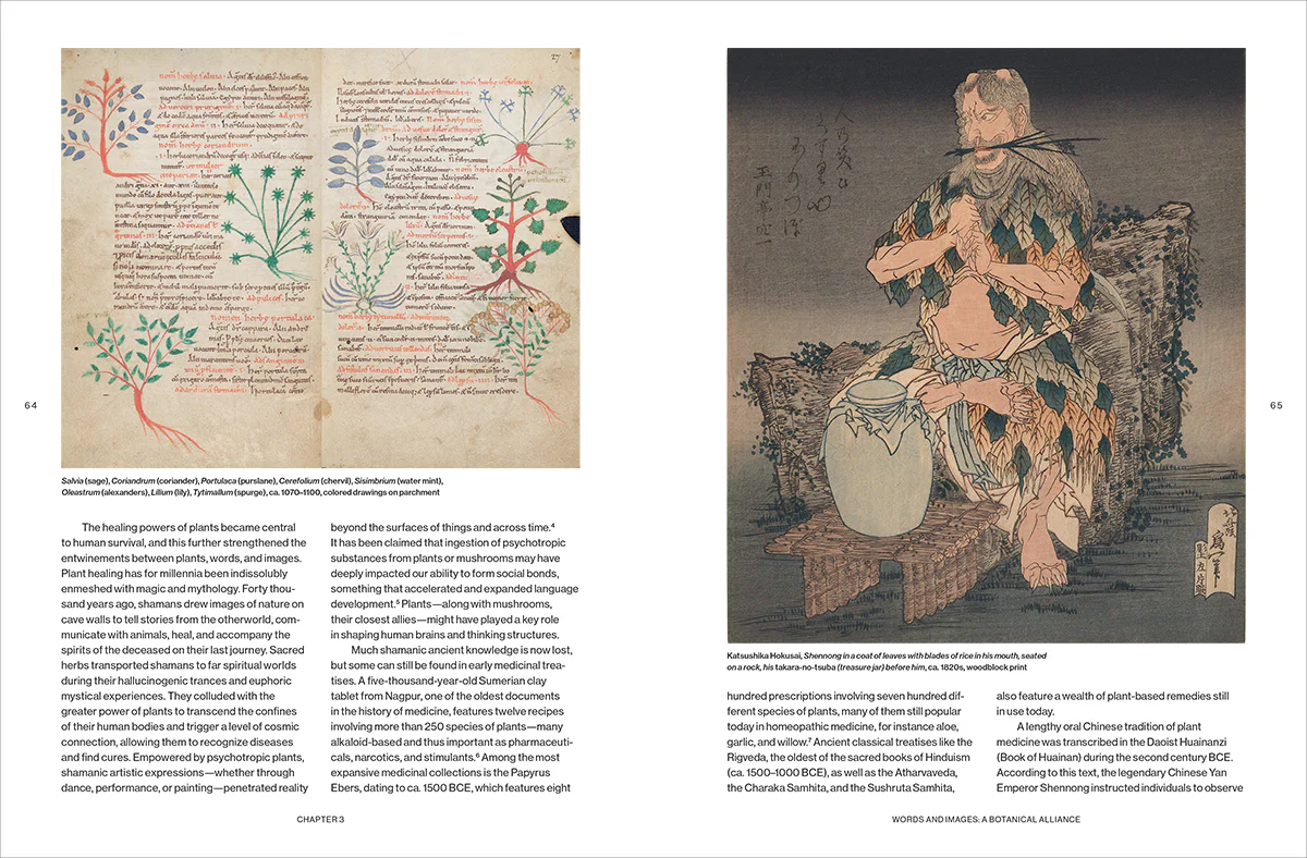 Botanical Revolutions: How Plants Changed the Course of Art - Image 4