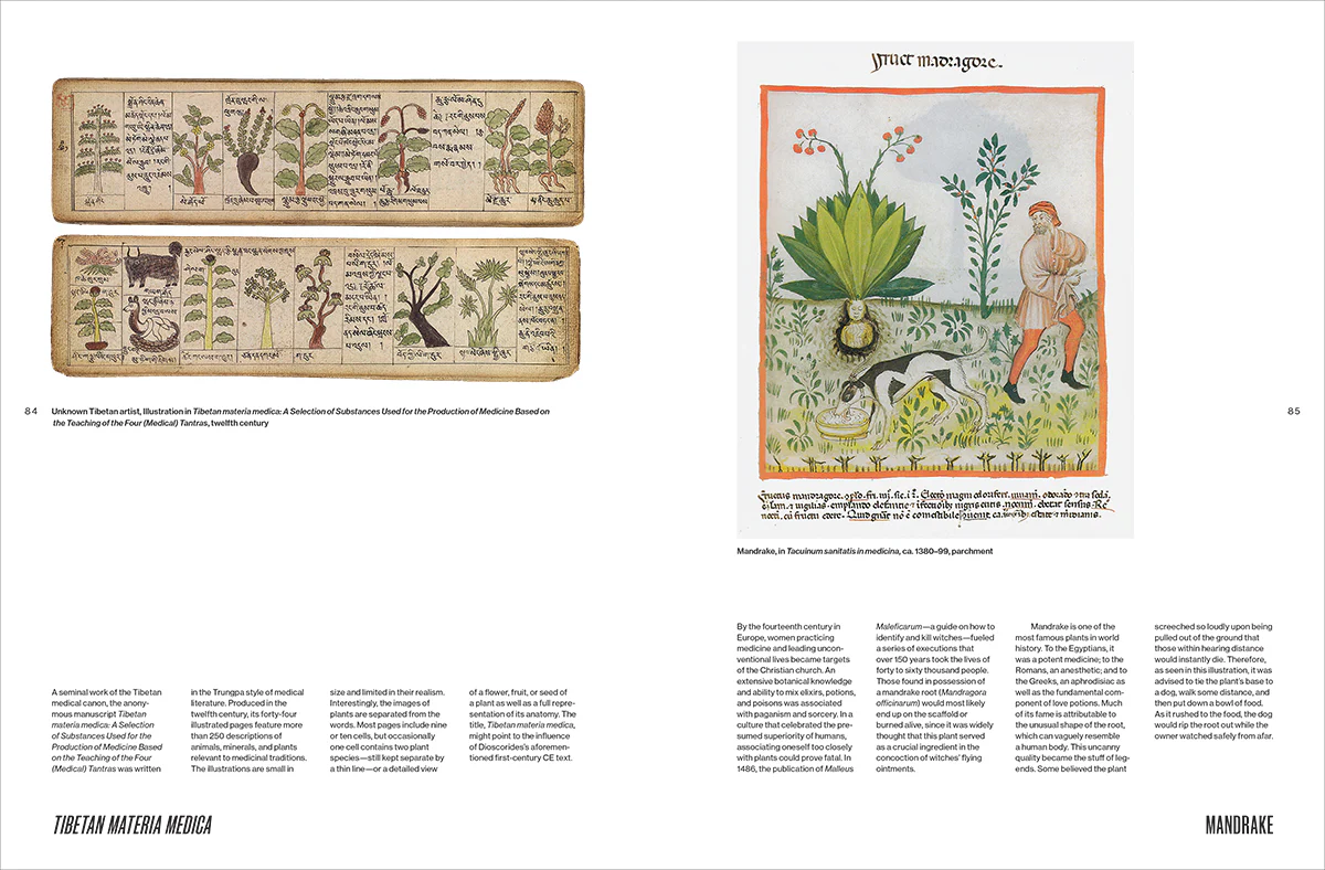 Botanical Revolutions: How Plants Changed the Course of Art - Image 5