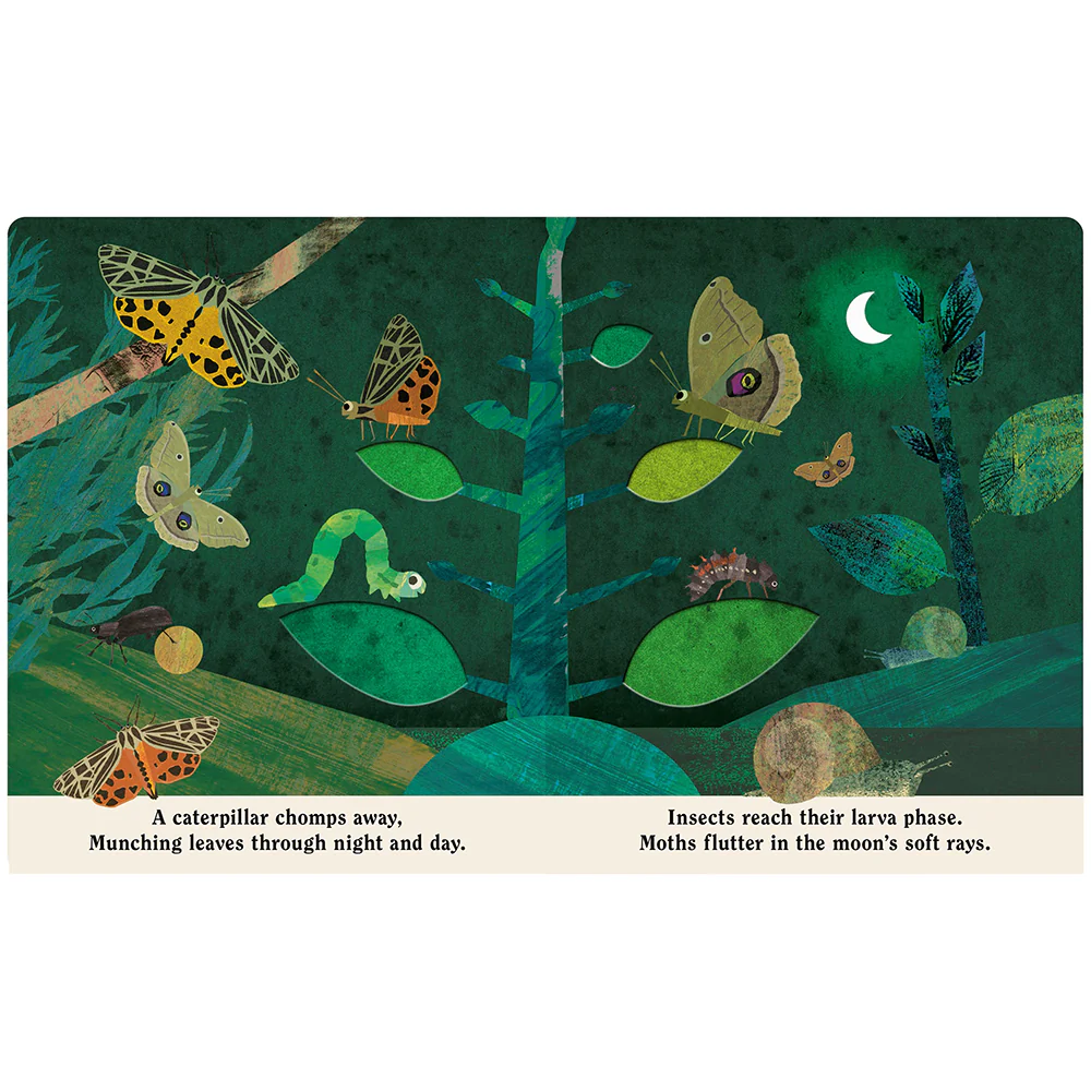 Bugs: A Peek-Through Board Book - Image 4