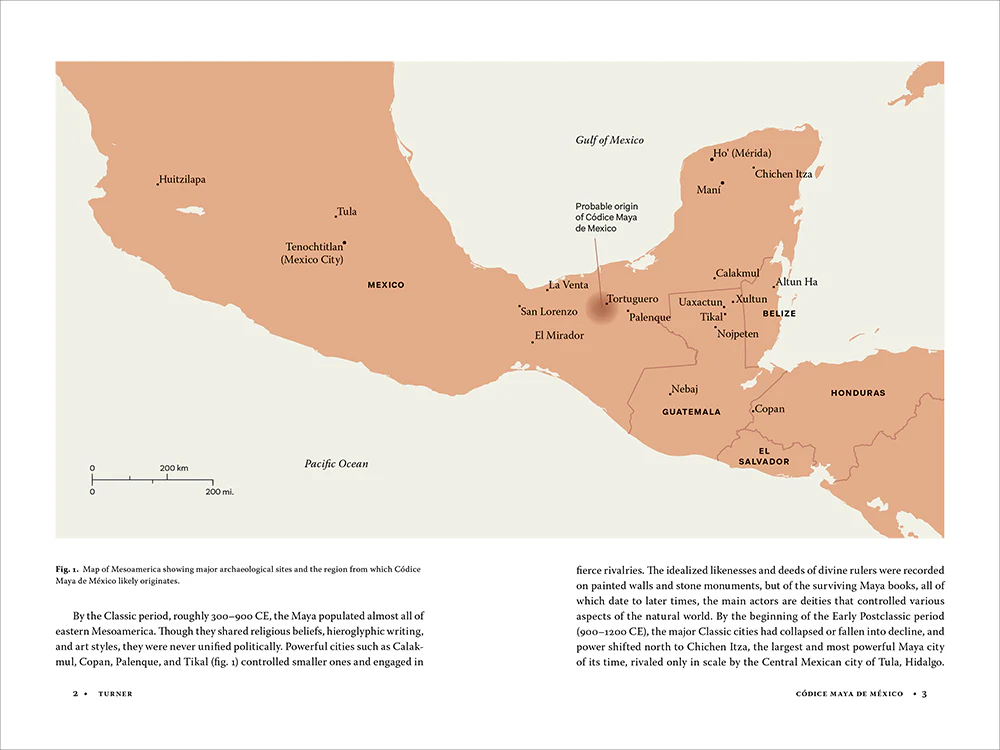 Códice Maya de México: Understanding the Oldest Surviving Book of the Americas - Image 2