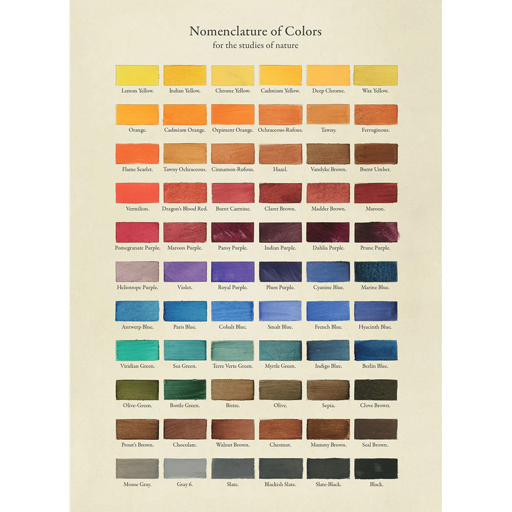 The Collage Compendium: 2,000 Images to Cut Out & Collage - Image 2