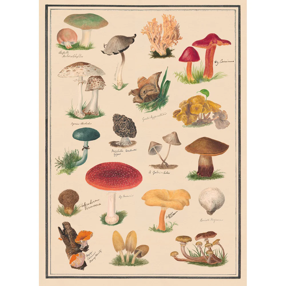 The Collage Compendium: 2,000 Images to Cut Out & Collage - Image 3
