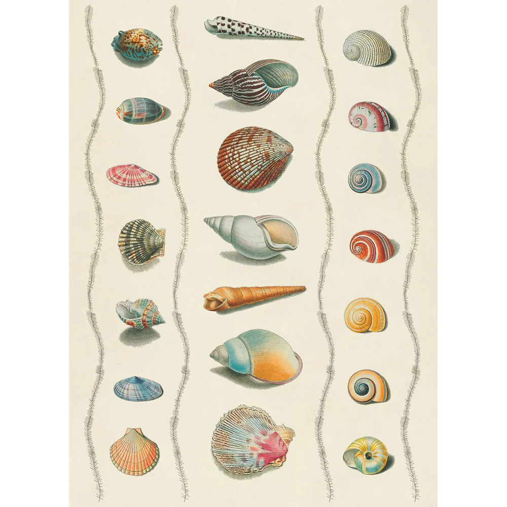 The Collage Compendium: 2,000 Images to Cut Out & Collage - Image 5