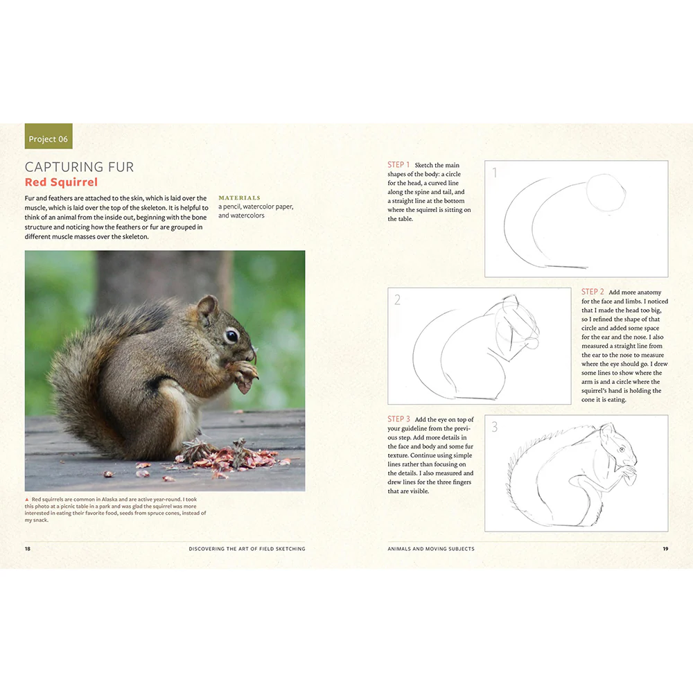 Discover the Art of Field Sketching: Nature-Inspired Techniques for Pencil, Pen, and Watercolor - Image 4