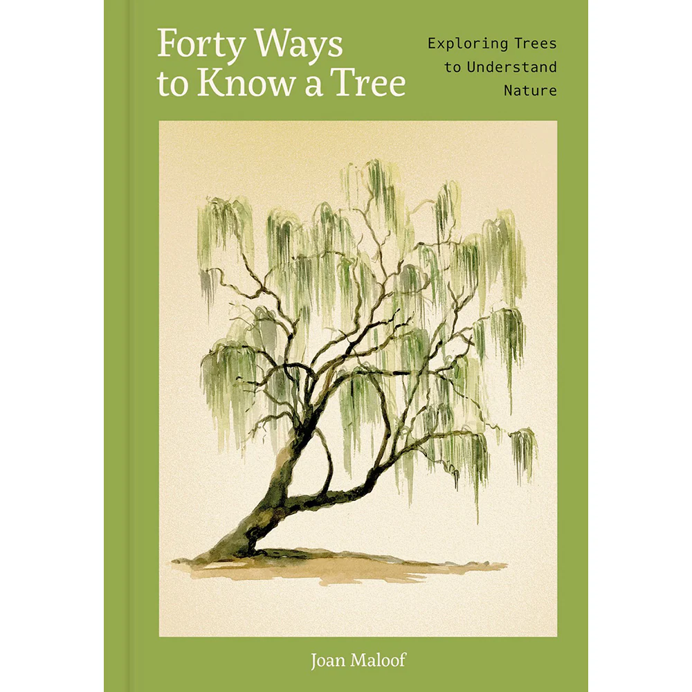 Forty Ways to Know a Tree: Exploring Trees to Understand Nature