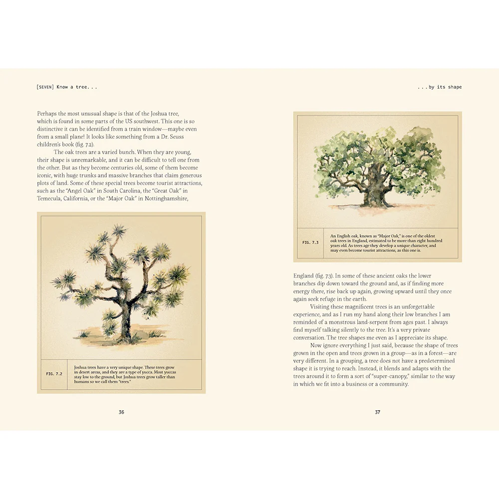 Forty Ways to Know a Tree: Exploring Trees to Understand Nature - Image 3