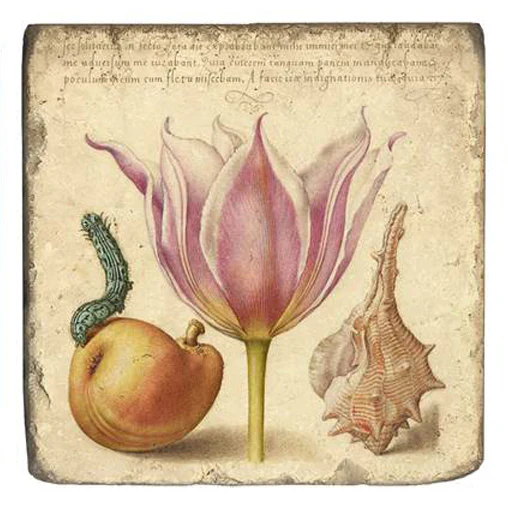 Joris Hoefnagel Magnet - Image 3