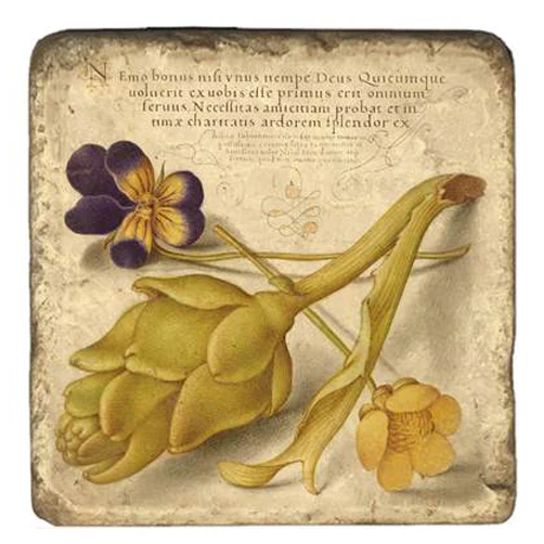 Joris Hoefnagel Magnet - Image 4