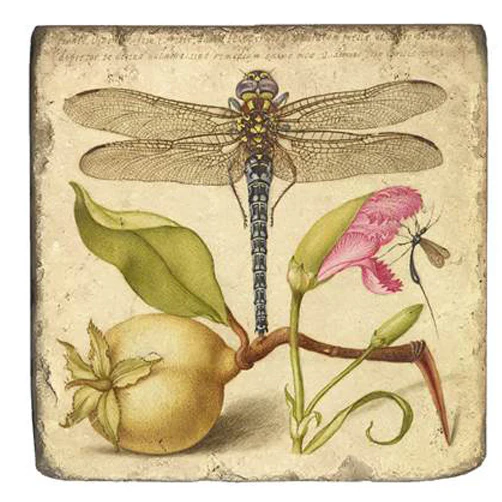 Joris Hoefnagel Coasters - Image 2