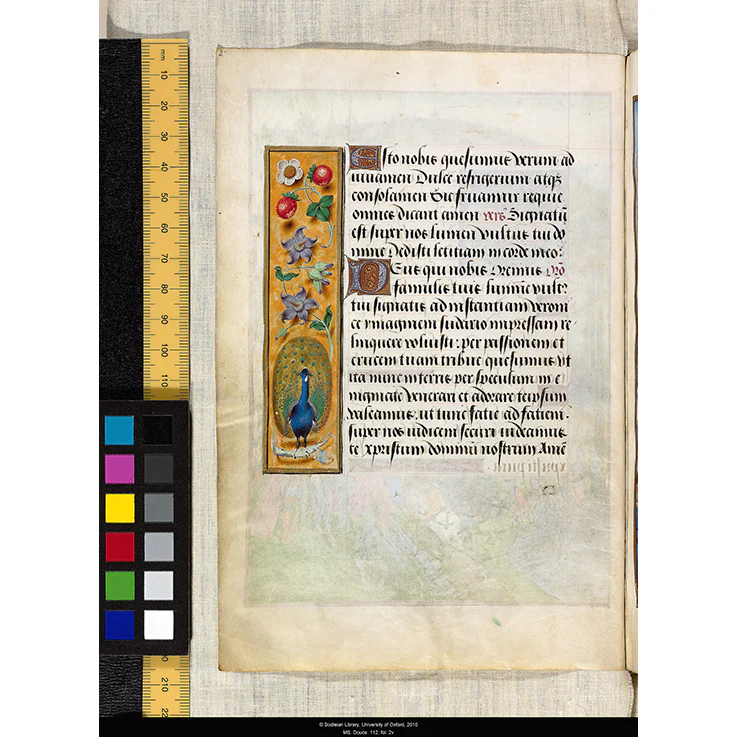 The Hours of Marie de Medici - Image 3
