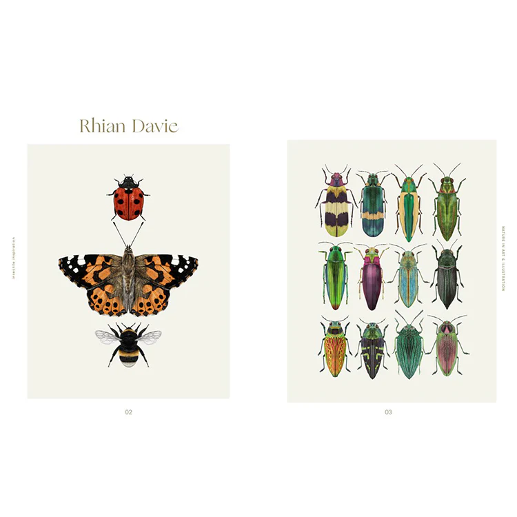 Insectile Inspiration: Insects in Art and Illustration - Image 2