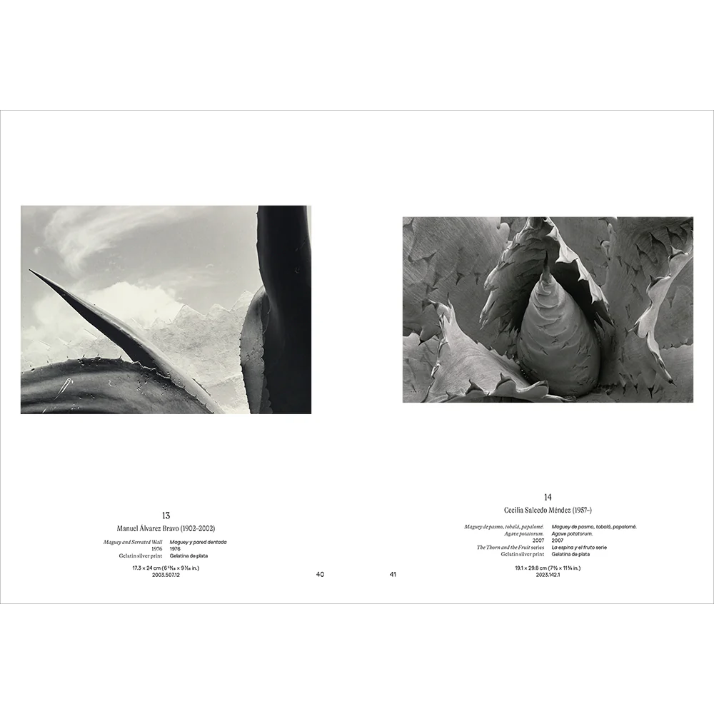 Instante/revelación: Moments in Mexican Photography - Image 5