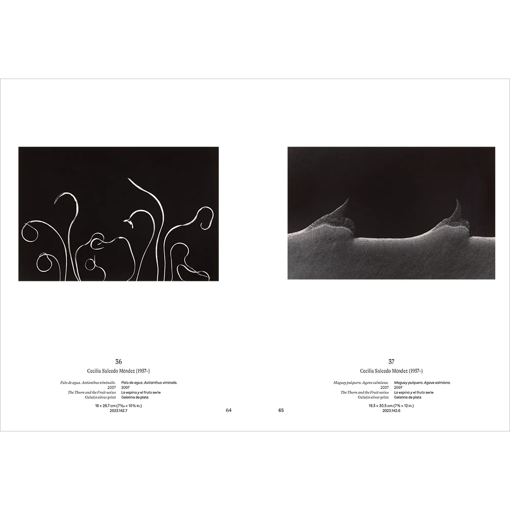 Instante/revelación: Moments in Mexican Photography - Image 7