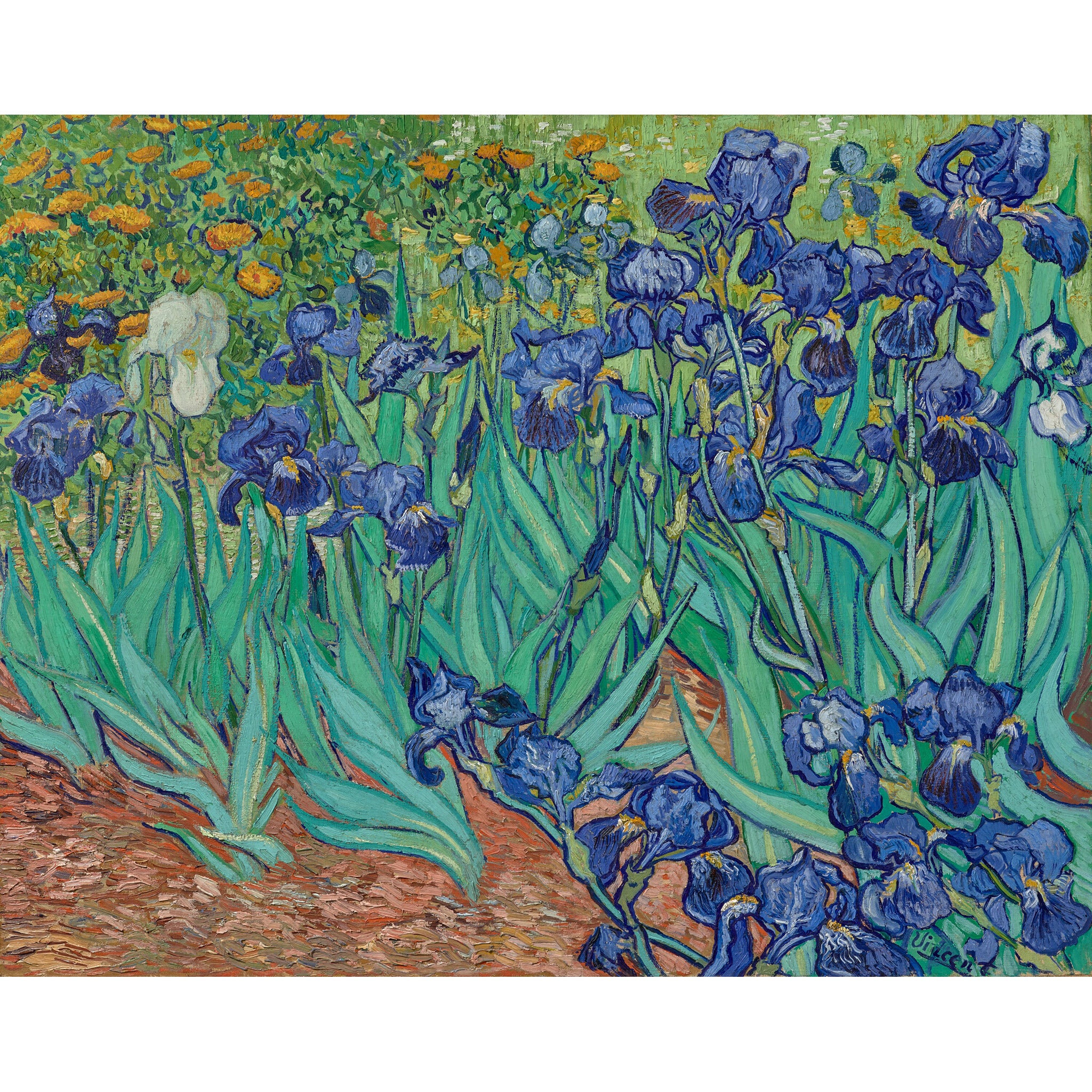 Van Gogh Irises Folding Hand Fan - Image 5