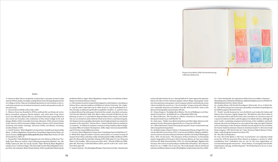 María Magdalena Campos-Pons: Behold - Image 3