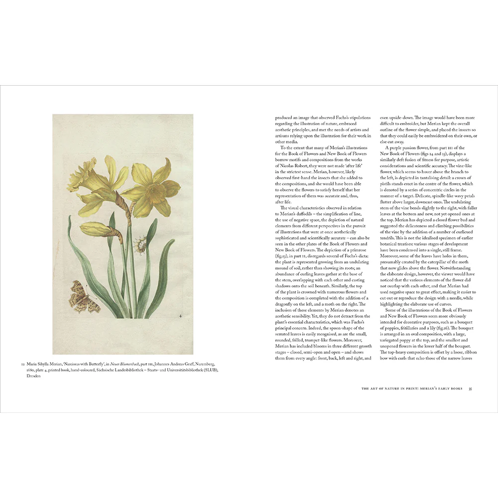 Maria Sibylla Merian - Image 2