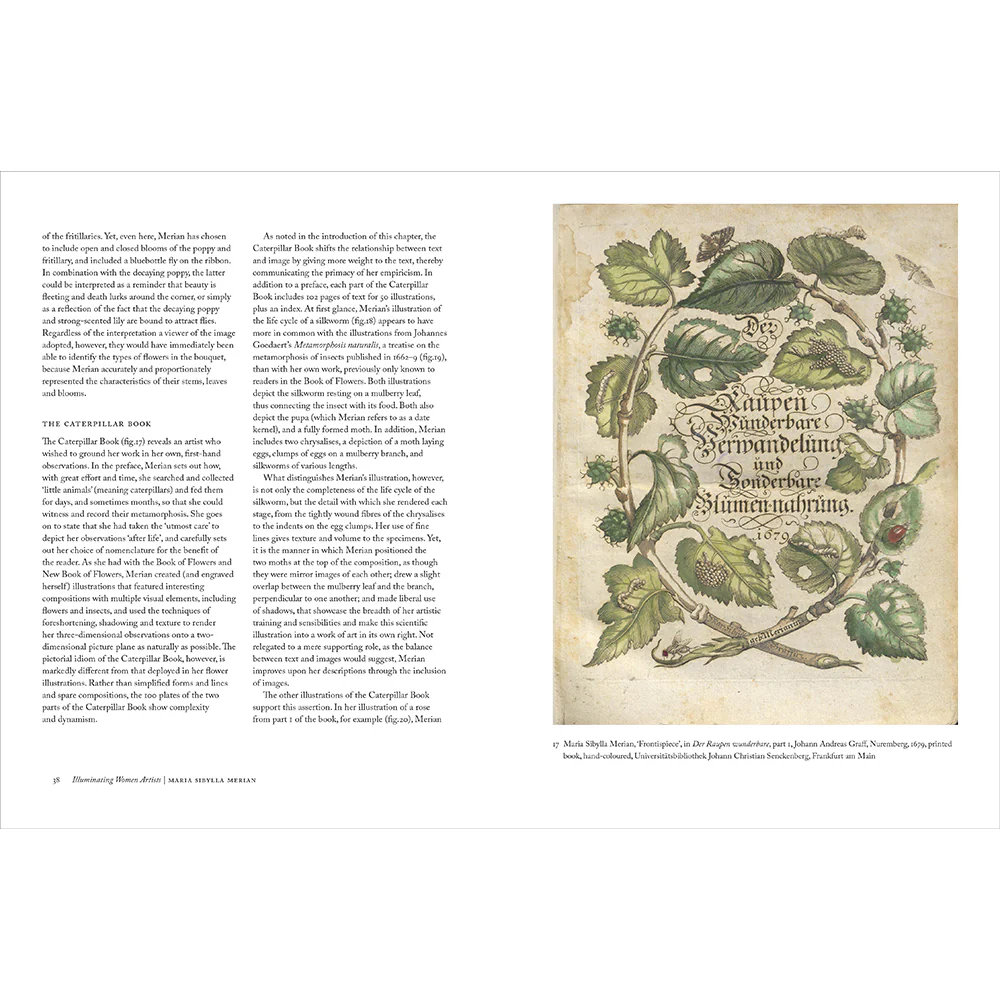 Maria Sibylla Merian - Image 4