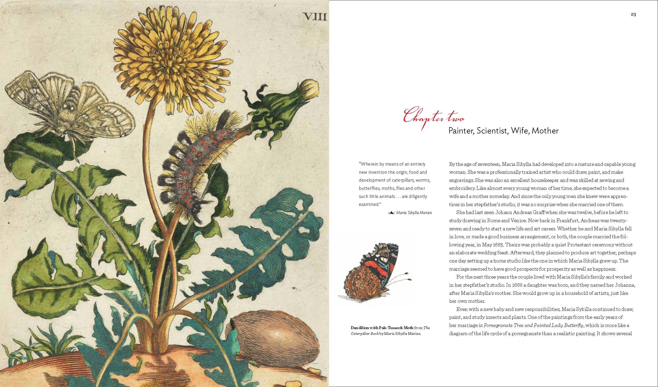 Maria Sibylla Merian: Artist, Scientist, Adventurer - Image 4