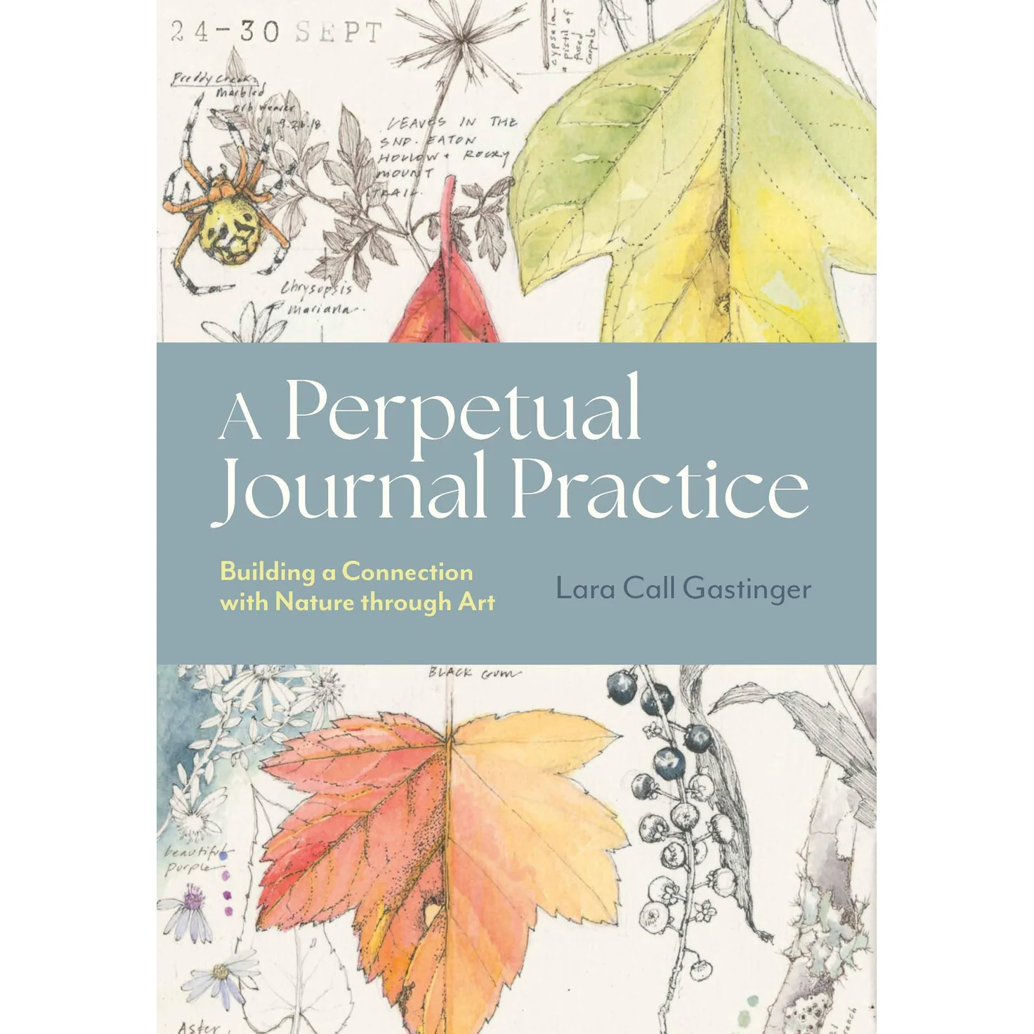 Books - New Arrivals