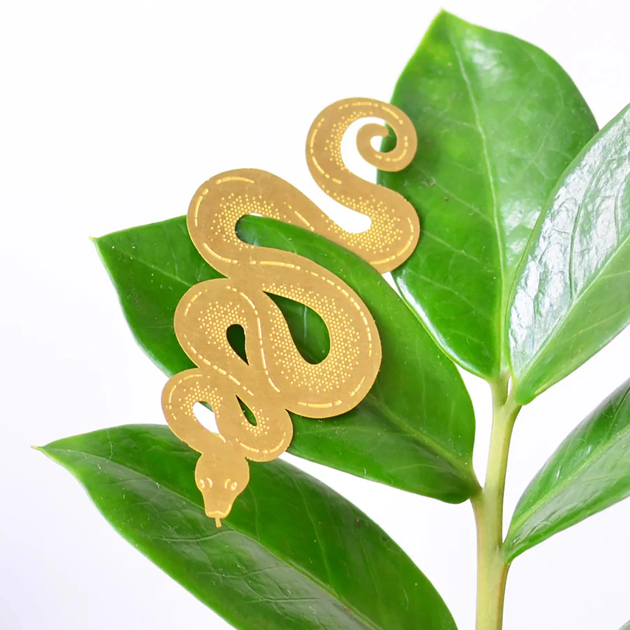 Plant Decor - Snake - Image 3