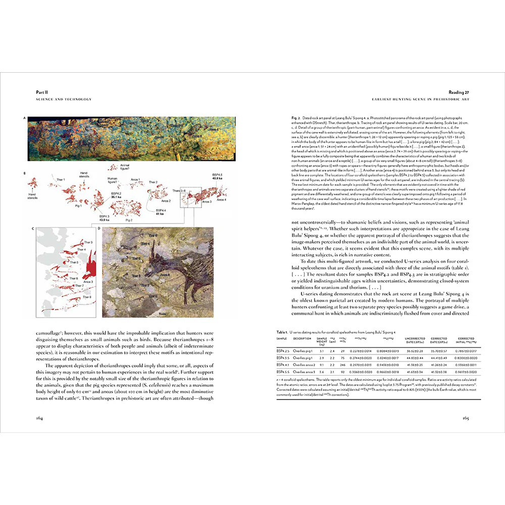 Rock Art: The Changing Landscape of Conservation and Management - Image 10