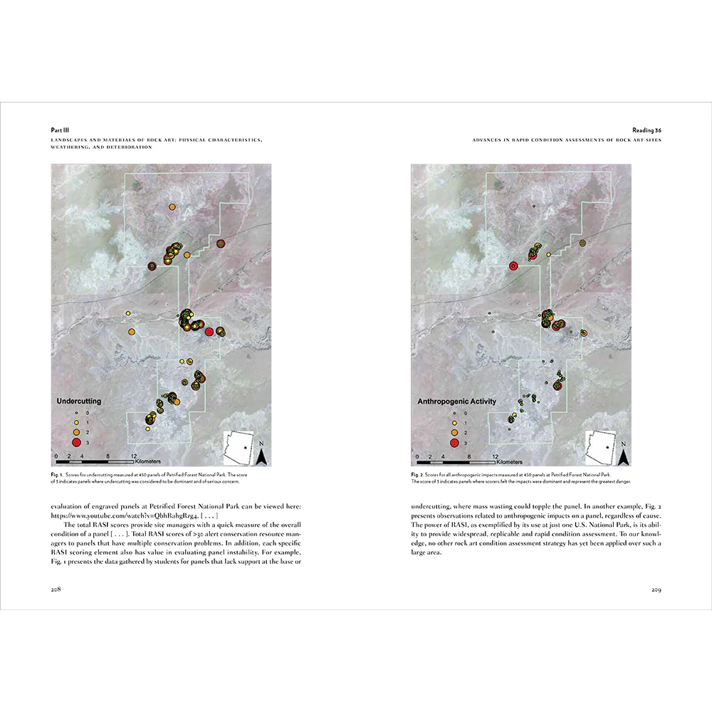 Rock Art: The Changing Landscape of Conservation and Management - Image 11
