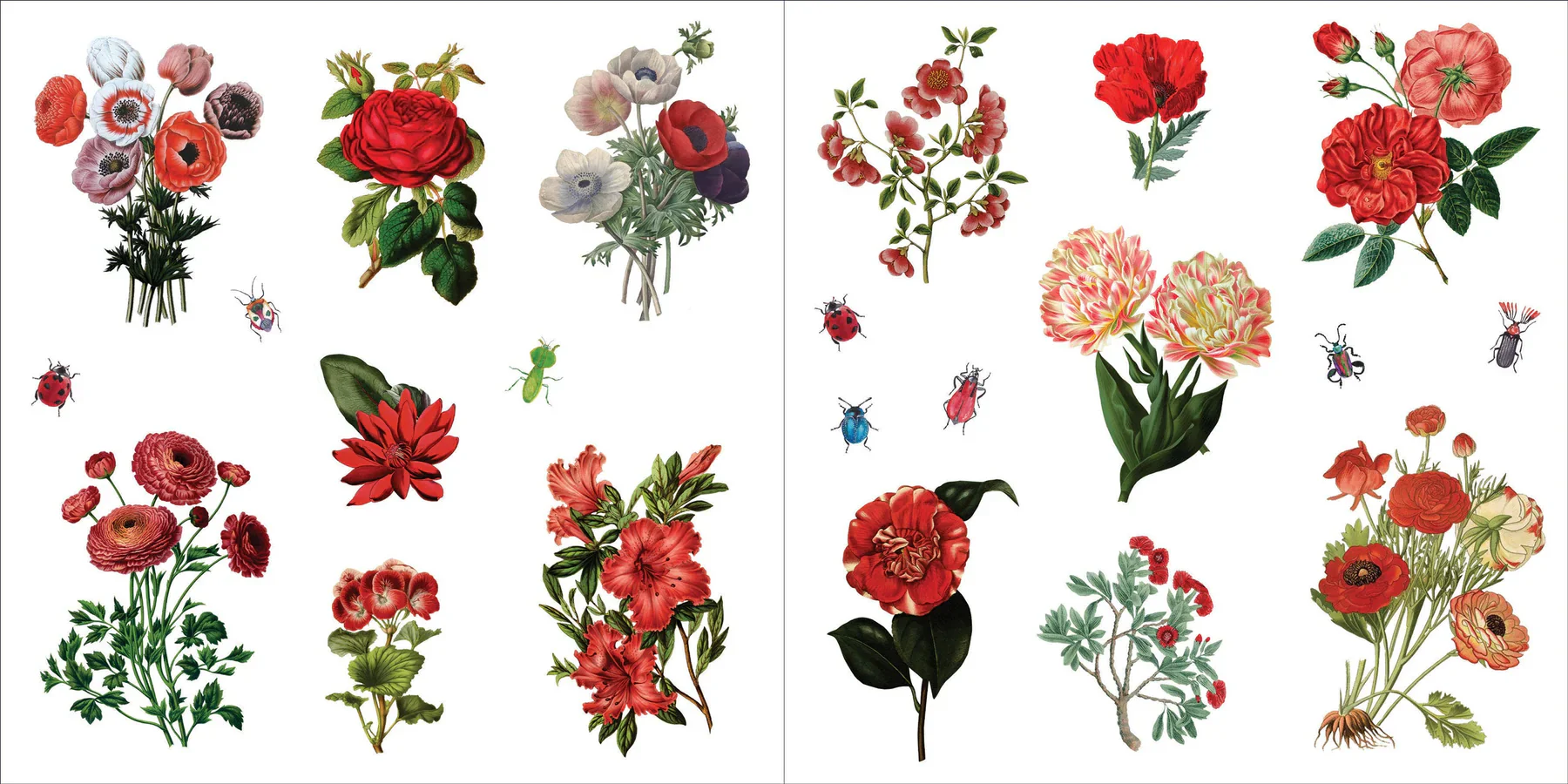 Bunches of Botanicals! Sticker Book - Image 2