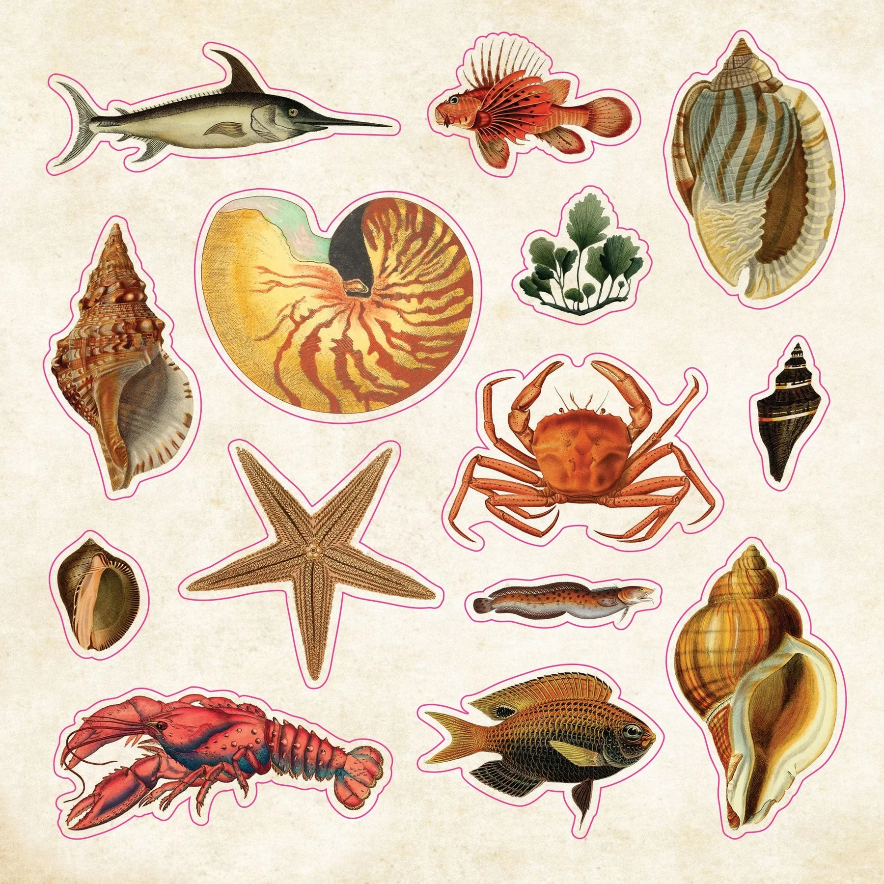 The Sticker Book of Curiosities - Image 4