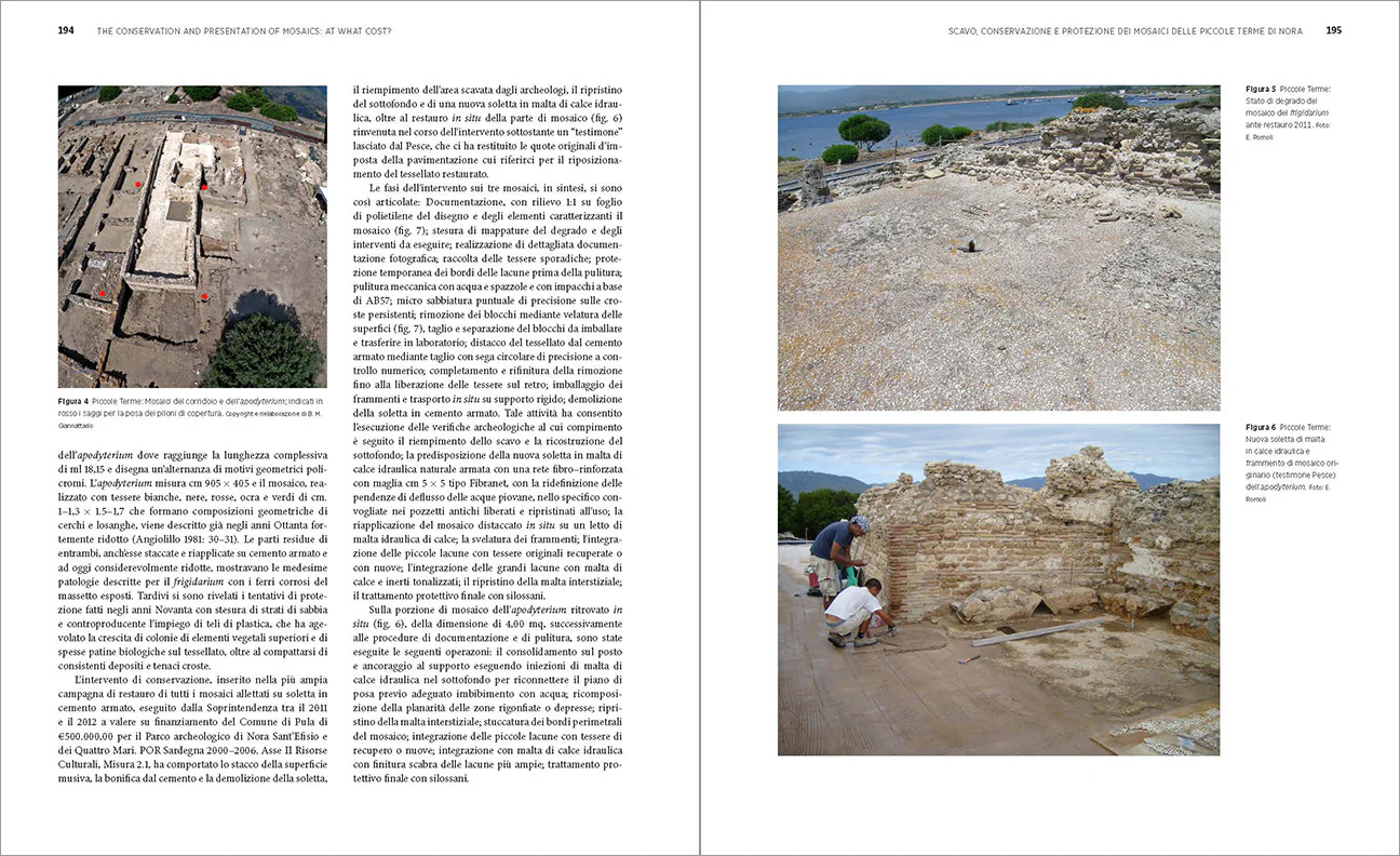The Conservation and Presentation of Mosaics: At What Cost? Proceedings of the 12th Conference of the International Committee for the Conservation of Mosaics, Sardinia, October 27–31, 2014 - Image 4
