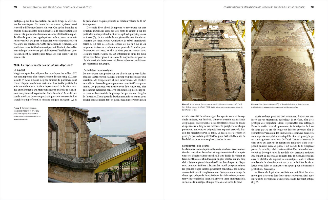 The Conservation and Presentation of Mosaics: At What Cost? Proceedings of the 12th Conference of the International Committee for the Conservation of Mosaics, Sardinia, October 27–31, 2014 - Image 5