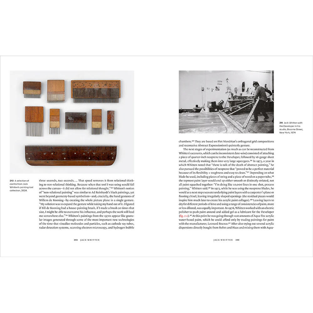 Unruly Tools: Contemporary Artists and the Reinvention of Painting - Image 12